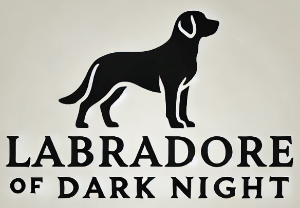 Labrador of Dark Night